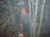 DSC01914.JPG (148553 bytes)