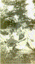Annie, Abbie, Jessie.gif (106455 bytes)