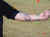 DSC00408.JPG (63887 bytes)
