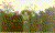 Lillie, Josephine, Martha Jorski  1924.gif (155439 bytes)