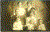 Lillie's sister Teresa and family.gif (203349 bytes)