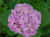 MVC-126F.JPG (69022 bytes)