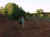 MVC-204F.JPG (63532 bytes)