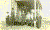 On the farm, 1924 or 25.gif (168759 bytes)