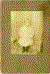 Riley.gif (343821 bytes)