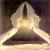 angel62s.jpg (4139 bytes)